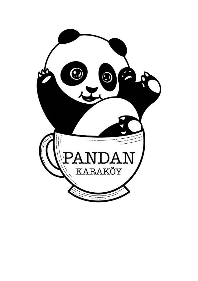 Pandan Karakoy Suit Стамбул Екстер'єр фото